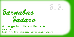 barnabas hadaro business card