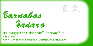 barnabas hadaro business card